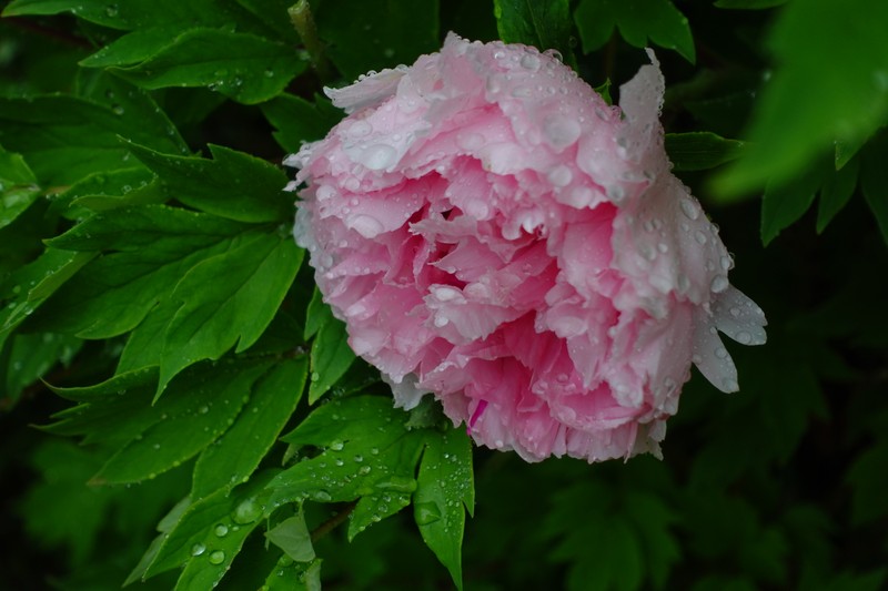 20240414T17235920240414T172359